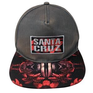 Santa Cruz 5 Panel Cap Multicolor One Size Adjustable Embroidered Jacobson Hat